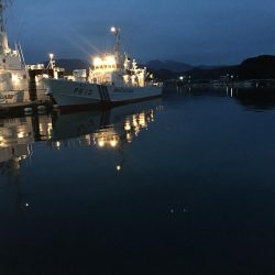 アジ15匹、尺アジ1匹