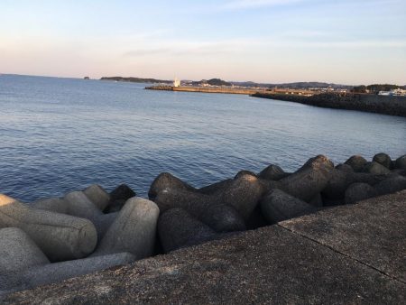 タイ1匹(20㎝)、フグ3匹