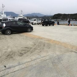 アジ2匹、ヒイラギ多数