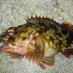 湾奥ロックゲーム!