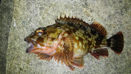 湾奥ロックゲーム！