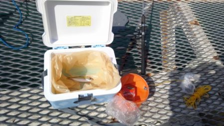 フィッシグパーク新形コロナウイルスによる閉…