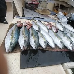 大物釣果速報！●光義丸：平戸市早福港