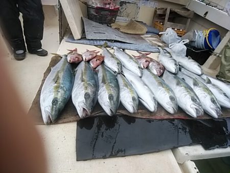 大物釣果速報！●光義丸：平戸市早福港