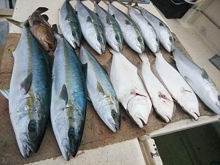 大物釣果速報！●光義丸：平戸市早福港