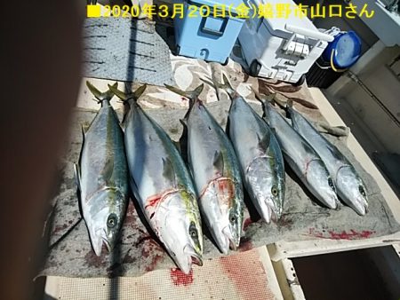 大物釣果速報！●光義丸：平戸市早福港