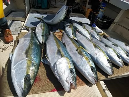 大物釣果速報！●光義丸：平戸市早福港