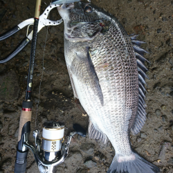 まったりリバーゲーム