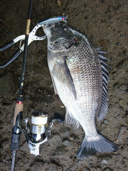 まったりリバーゲーム