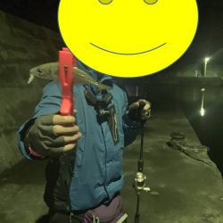 のんびりアジングと尺アジ情報