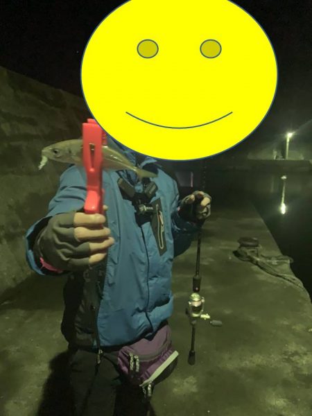 のんびりアジングと尺アジ情報