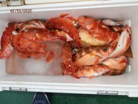 第二むつ漁丸 釣果