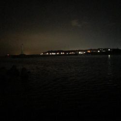 アジどこでっかー！？