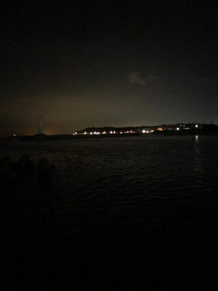 アジどこでっかー！？