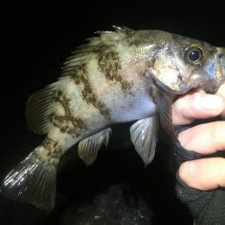 痛すぎマッキンα!!