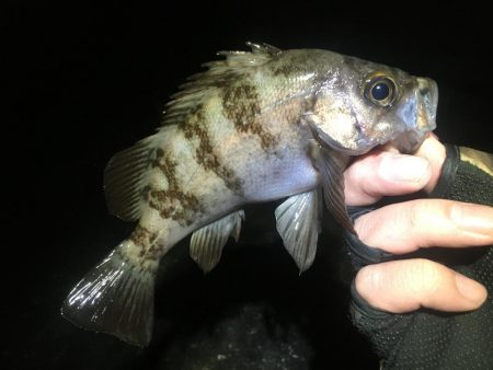 痛すぎマッキンα！！