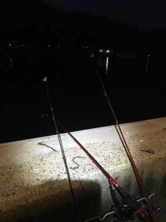 久しぶりのカレイ