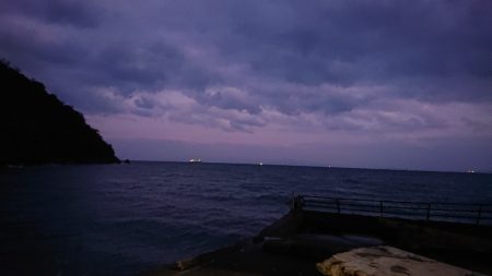 ライトカゴ釣りでチヌ47cm