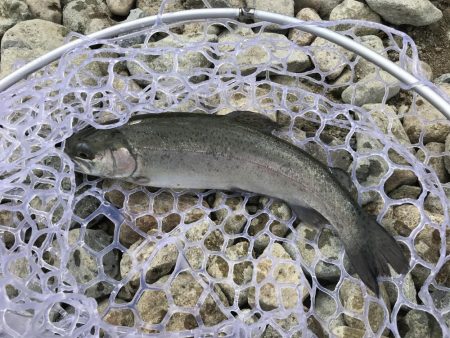 北田原マス釣り場にて