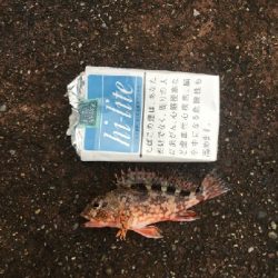 こんな日もある。