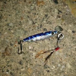 サクラマス(ヤマメ)