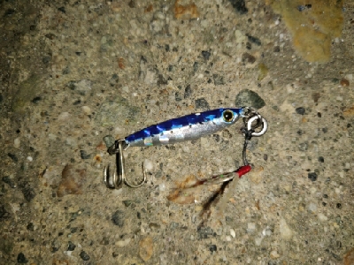 サクラマス(ヤマメ)