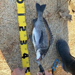 デイチニング！