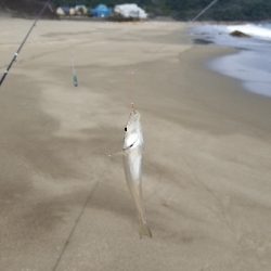 今年、初釣り‼️