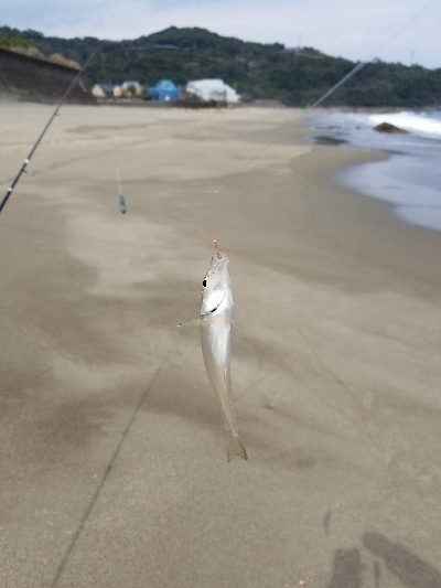 今年、初釣り‼️