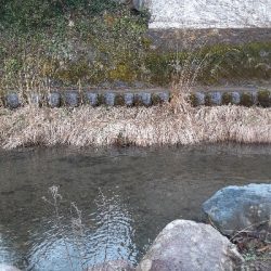 鱒レンジャーnest sp40猛吹雪