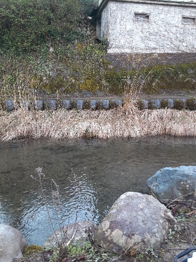 鱒レンジャーnest sp40猛吹雪