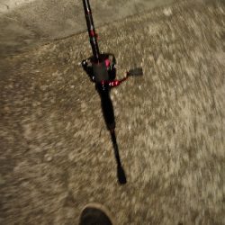 プラッキングはおもしろい