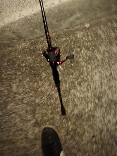 プラッキングはおもしろい