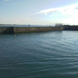 棒うきでふかせ釣り