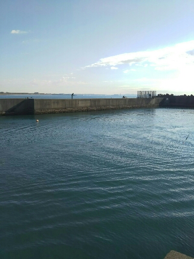 棒うきでふかせ釣り