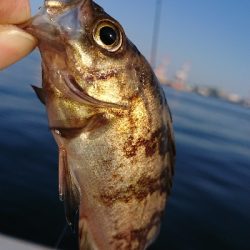 南港ガシリング