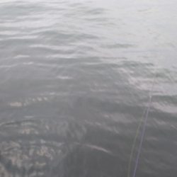 爆風の為風裏に！