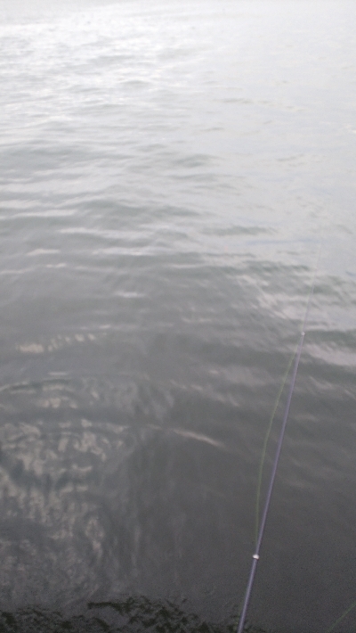 爆風の為風裏に！