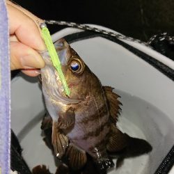 短時間入れ食い！