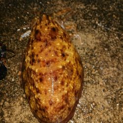 風と波がキツかった