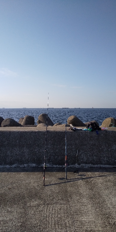 サバはどこへ…