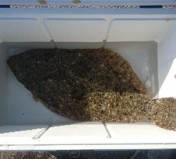 クーラー…大きいの欲しいなー