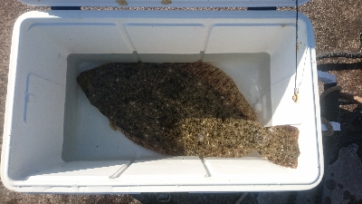 クーラー…大きいの欲しいなー