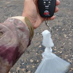 寝坊から爆風エキング