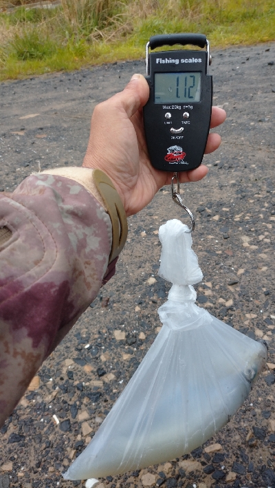 寝坊から爆風エキング