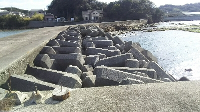 ヒラスズキゲット！