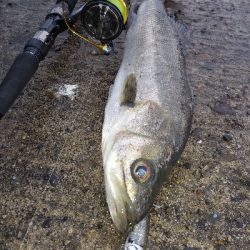 連発するものの・・