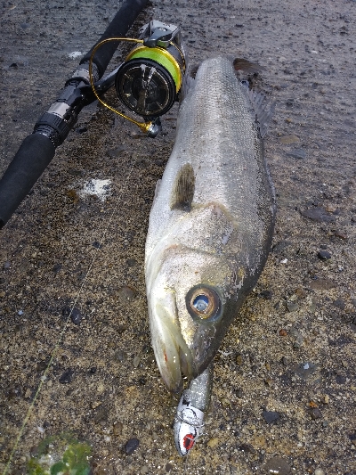 連発するものの・・