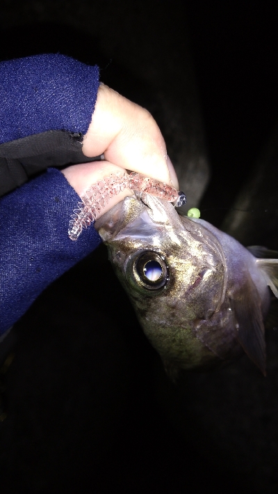 ナイトメバリング