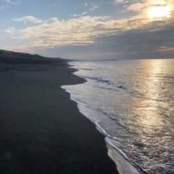 手負いの座布団